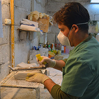 Equipo Técnico